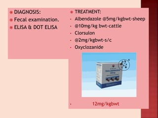 DIAGNOSIS:
 Fecal examination.
 ELISA & DOT ELISA
 TREATMENT:
• Albendazole @5mg/kgbwt-sheep
• @10mg/kg bwt-cattle
• Clorsulon
• @2mg/kgbwt-s/c
• Oxyclozanide
• 12mg/kgbwt
 