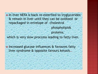 In liver NEFA is back re-esterfied to tryglycerides
& remain in liver until they can be oxidized or
repackaged in envelope of –cholestrol
phospholipids
proteins.
which is very slow proccess leading to fatty liver.
 Increased glucose influences & favoures fatty
liver syndrome & opposite favours ketosis..
 