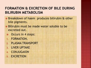  Breakdown of haem produces bilirubin & other
bile pigments.
 Bilirubin must be made water soluble to be
excreted out.
 Occurs in 4 steps:
1. FORMATION.
2. PLASMA TRANSPORT
3. LIVER UPTAKE
4. CONJUGAION
5. EXCRETION
 