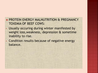  PROTEIN ENERGY MALNUTRITION & PREGNANCY
TOXEMIA OF BEEF COWS:
• Usually occuring during winter manifested by
weight loss,weakness, depression & sometime
inability to rise.
• Condition results because of negative energy
balance.
 