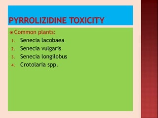  Common plants:
1. Senecia lacobaea
2. Senecia vulgaris
3. Senecia longilobus
4. Crotolaria spp.
 