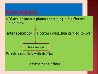  PA are poisonous plants containing 4-6 different
alkaloids.
after absorbtion via portal cirucaltion carried to liver
Pyrrole cross link with dsDNA.
antimomotic effect
Toxic pyrroles
 