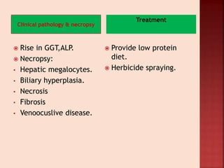 Clinical pathology & necropsy
Treatment
 Rise in GGT,ALP.
 Necropsy:
• Hepatic megalocytes.
• Biliary hyperplasia.
• Necrosis
• Fibrosis
• Venoocuslive disease.
 Provide low protein
diet.
 Herbicide spraying.
 