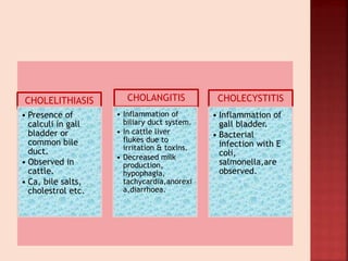 CHOLELITHIASIS
• Presence of
calculi in gall
bladder or
common bile
duct.
• Observed in
cattle.
• Ca, bile salts,
cholestrol etc.
CHOLANGITIS
• Inflammation of
biliary duct system.
• In cattle liver
flukes due to
irritation & toxins.
• Decreased milk
production,
hypophagia,
tachycardia,anorexi
a,diarrhoea.
CHOLECYSTITIS
• Inflammation of
gall bladder.
• Bacterial
infection with E
coli,
salmonella,are
observed.
 