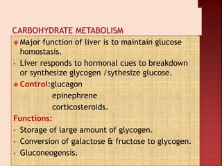  Major function of liver is to maintain glucose
homostasis.
• Liver responds to hormonal cues to breakdown
or synthesize glycogen /sythesize glucose.
 Control:glucagon
epinephrene
corticosteroids.
Functions:
• Storage of large amount of glycogen.
• Conversion of galactose & fructose to glycogen.
• Gluconeogensis.
 