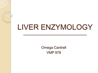 LIVER ENZYMOLOGY
Omega Cantrell
VMP 978
 