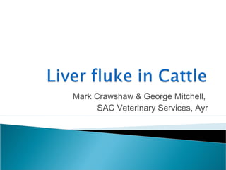 Mark Crawshaw & George Mitchell,
SAC Veterinary Services, Ayr
 