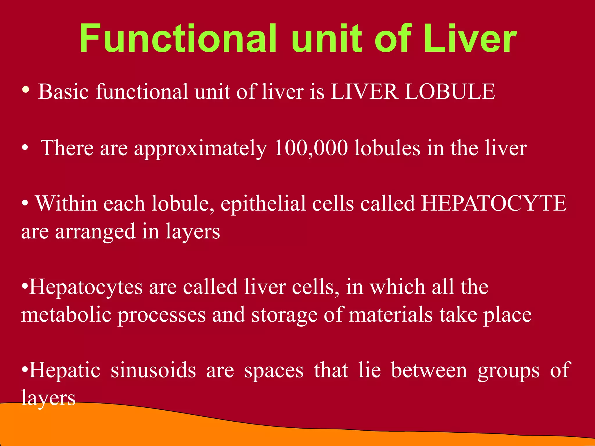 • Basic functional unit of liver is LIVER LOBULE
• There are approximately 100,000 lobules in the liver
• Within each lobule, epithelial cells called HEPATOCYTE
are arranged in layers
•Hepatocytes are called liver cells, in which all the
metabolic processes and storage of materials take place
•Hepatic sinusoids are spaces that lie between groups of
layers
Functional unit of Liver
 