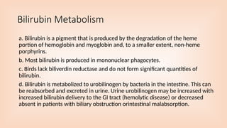 Liver_Function2.pptx Liver Function Tests Liver Function Tests | PPTX