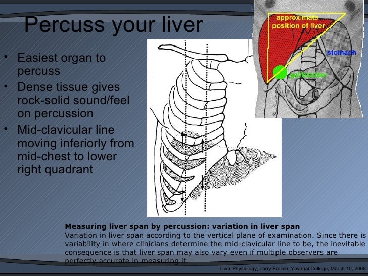 Liver function3