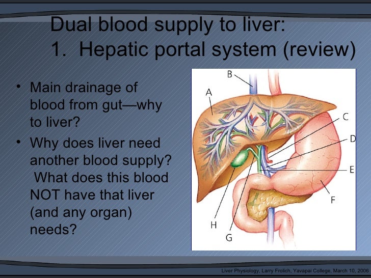 Liver function3
