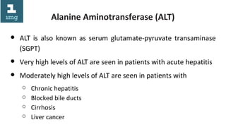 Liver function test | ODP