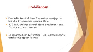 Urobilinogen
 Formed in terminal ileum & colon from conjugated
bilirubin by anaerobic microbial flora
 20% daily undergo enterohepatic circulation – small
fraction excreted in urine
 In hepatocellular dysfunction – UBG escapes hepatic
uptake thus appear in urine
 