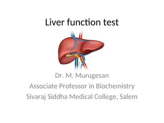 Comprehensive Overview of Liver Function Tests and Their Clinical ...
