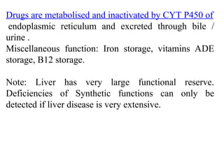 Comprehensive Overview of Liver Function Tests and Their Clinical ...