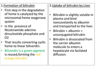 1.Formation of bilirubin
• First step in the degradation
of heme is catalyzed by the
microsomal heme oxygenase
system
• In the presence of
Nicotinamide adenine
dinucleotide phosphate and
O2
• That results converting cyclic
heme to linear biliverdin.
• Biliverdin is a green pigment
is reused,forming the red
orange bilirubin
2.Uptake of bilirubin by Liver
• Bilirubin is slightly soluble in
plasma and bind
noncovelantly to albumin
and transported to the liver.
• Bilirubin + albumin =
unconjugated bilirubin
• Bilirubin is dissociated from
the carrier albumin
molecule to enters a
hepatocyte via facilated
diffusion.
 