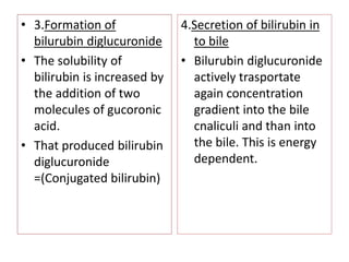 • 3.Formation of
bilurubin diglucuronide
• The solubility of
bilirubin is increased by
the addition of two
molecules of gucoronic
acid.
• That produced bilirubin
diglucuronide
=(Conjugated bilirubin)
4.Secretion of bilirubin in
to bile
• Bilurubin diglucuronide
actively trasportate
again concentration
gradient into the bile
cnaliculi and than into
the bile. This is energy
dependent.
 