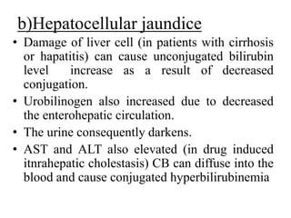 b)Hepatocellular jaundice
• Damage of liver cell (in patients with cirrhosis
or hapatitis) can cause unconjugated bilirubin
level increase as a result of decreased
conjugation.
• Urobilinogen also increased due to decreased
the enterohepatic circulation.
• The urine consequently darkens.
• AST and ALT also elevated (in drug induced
itnrahepatic cholestasis) CB can diffuse into the
blood and cause conjugated hyperbilirubinemia
 
