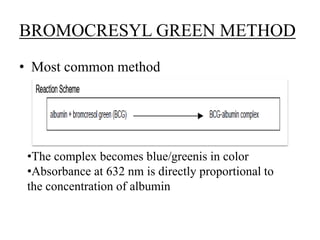 BROMOCRESYL GREEN METHOD
• Most common method
•The complex becomes blue/greenis in color
•Absorbance at 632 nm is directly proportional to
the concentration of albumin
 