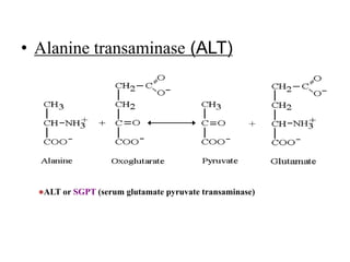 • Alanine transaminase (ALT)
ALT or SGPT (serum glutamate pyruvate transaminase)
 
