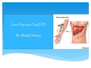 Liver Function Test(LFT)
By: Shahid Nawaz
 