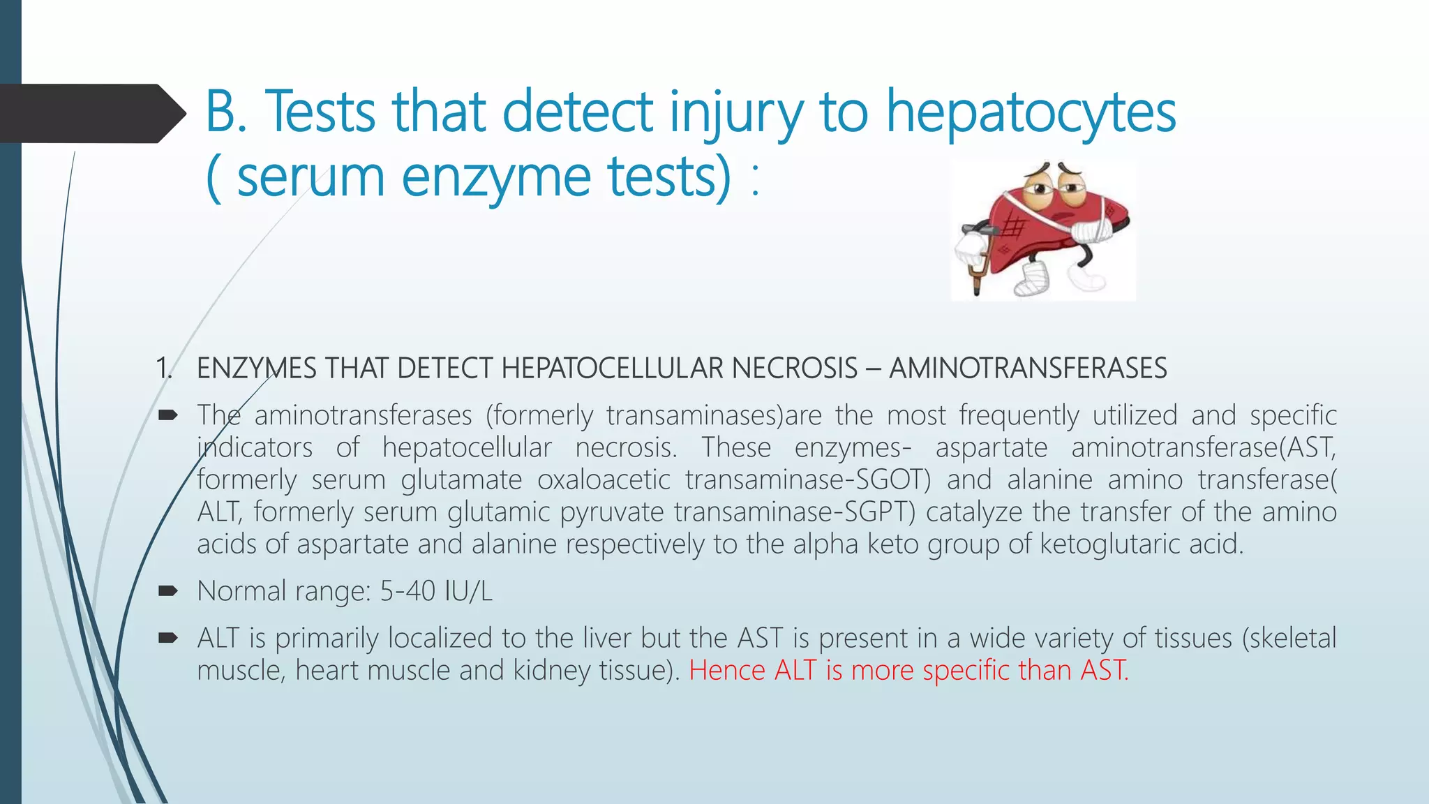 B. Tests that detect injury to hepatocytes
( serum enzyme tests) :
1. ENZYMES THAT DETECT HEPATOCELLULAR NECROSIS – AMINOTRANSFERASES
 The aminotransferases (formerly transaminases)are the most frequently utilized and specific
indicators of hepatocellular necrosis. These enzymes- aspartate aminotransferase(AST,
formerly serum glutamate oxaloacetic transaminase-SGOT) and alanine amino transferase(
ALT, formerly serum glutamic pyruvate transaminase-SGPT) catalyze the transfer of the amino
acids of aspartate and alanine respectively to the alpha keto group of ketoglutaric acid.
 Normal range: 5-40 IU/L
 ALT is primarily localized to the liver but the AST is present in a wide variety of tissues (skeletal
muscle, heart muscle and kidney tissue). Hence ALT is more specific than AST.
 