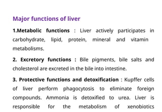 Liver Function Test_Nursing.pptx for nursing | PPTX