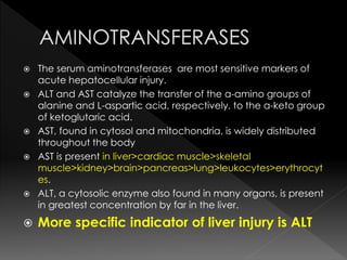  The serum aminotransferases are most sensitive markers of 
acute hepatocellular injury. 
 ALT and AST catalyze the transfer of the α-amino groups of 
alanine and L-aspartic acid, respectively, to the α-keto group 
of ketoglutaric acid. 
 AST, found in cytosol and mitochondria, is widely distributed 
throughout the body 
 AST is present in liver>cardiac muscle>skeletal 
muscle>kidney>brain>pancreas>lung>leukocytes>erythrocyt 
es. 
 ALT, a cytosolic enzyme also found in many organs, is present 
in greatest concentration by far in the liver. 
 More specific indicator of liver injury is ALT 
 