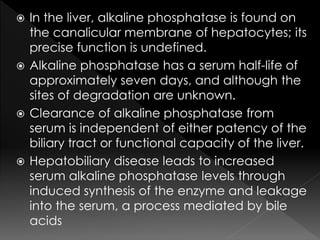  In the liver, alkaline phosphatase is found on 
the canalicular membrane of hepatocytes; its 
precise function is undefined. 
 Alkaline phosphatase has a serum half-life of 
approximately seven days, and although the 
sites of degradation are unknown. 
 Clearance of alkaline phosphatase from 
serum is independent of either patency of the 
biliary tract or functional capacity of the liver. 
 Hepatobiliary disease leads to increased 
serum alkaline phosphatase levels through 
induced synthesis of the enzyme and leakage 
into the serum, a process mediated by bile 
acids 
 