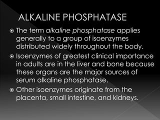  The term alkaline phosphatase applies 
generally to a group of isoenzymes 
distributed widely throughout the body. 
 Isoenzymes of greatest clinical importance 
in adults are in the liver and bone because 
these organs are the major sources of 
serum alkaline phosphatase. 
 Other isoenzymes originate from the 
placenta, small intestine, and kidneys. 
 