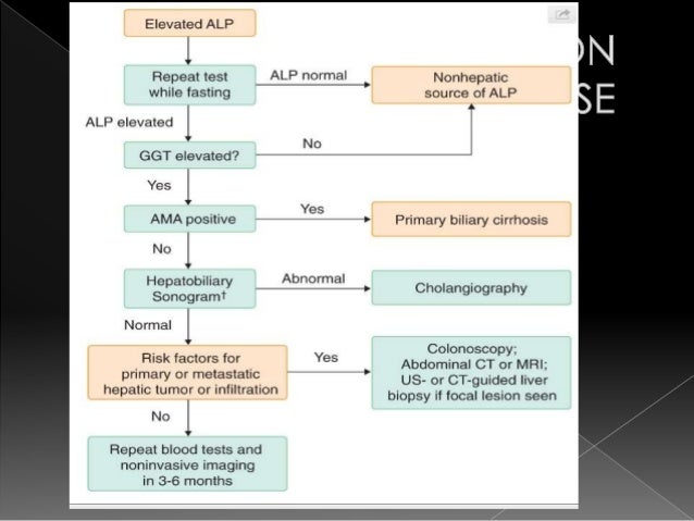 test g-gtp blood tests Liver function