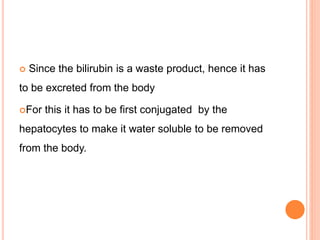  Since the bilirubin is a waste product, hence it has
to be excreted from the body
For this it has to be first conjugated by the
hepatocytes to make it water soluble to be removed
from the body.
 