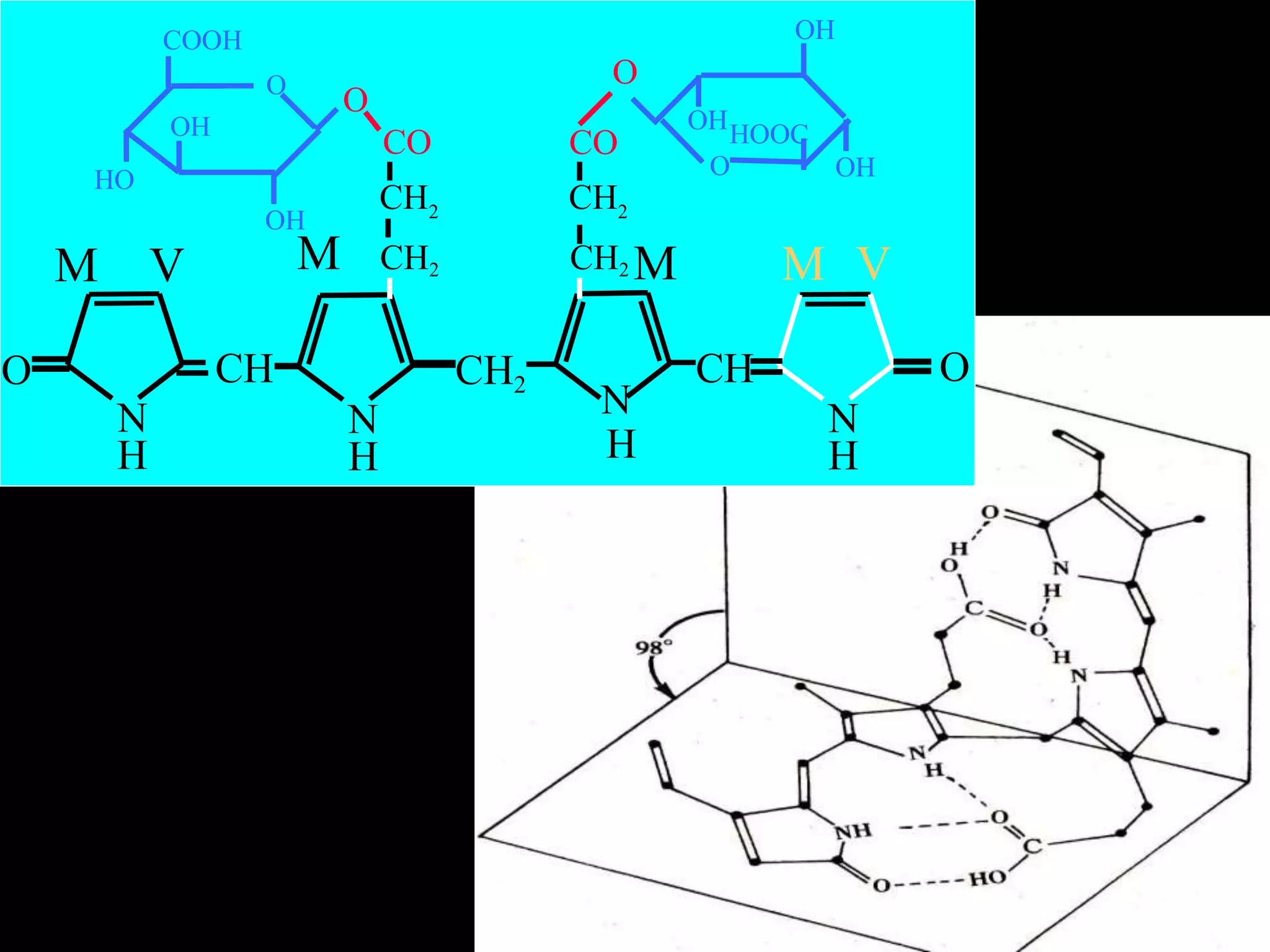 目 录
CH2
CO
N
H
CH
O
N
H
CH2
N
H
CH
N
H
O
M CH2
M V M V
CH2 M
CH2
O
O
OH
HO
COOH
OH
OH
OHHOOC
O
OH
O
CO
 