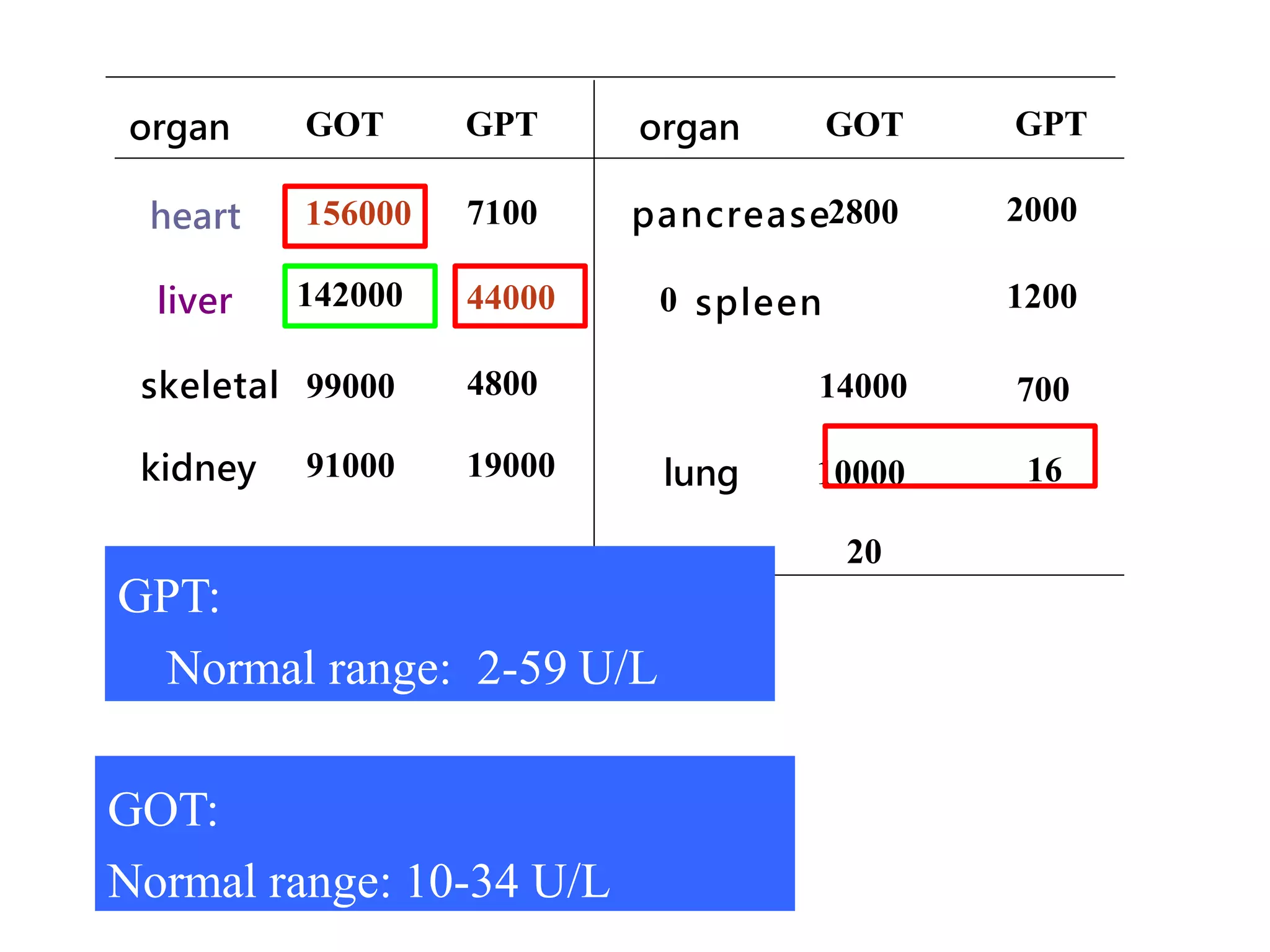 organ GOT GPT organ GOT GPT
heart 156000 7100 pancrease2800
0 spleen
14000
lung 10000
serum 20
2000
1200
700
16
liver 142000 44000
skeletal 99000 4800
kidney 91000 19000
GPT:
Normal range: 2-59 U/L
GOT:
Normal range: 10-34 U/L
 