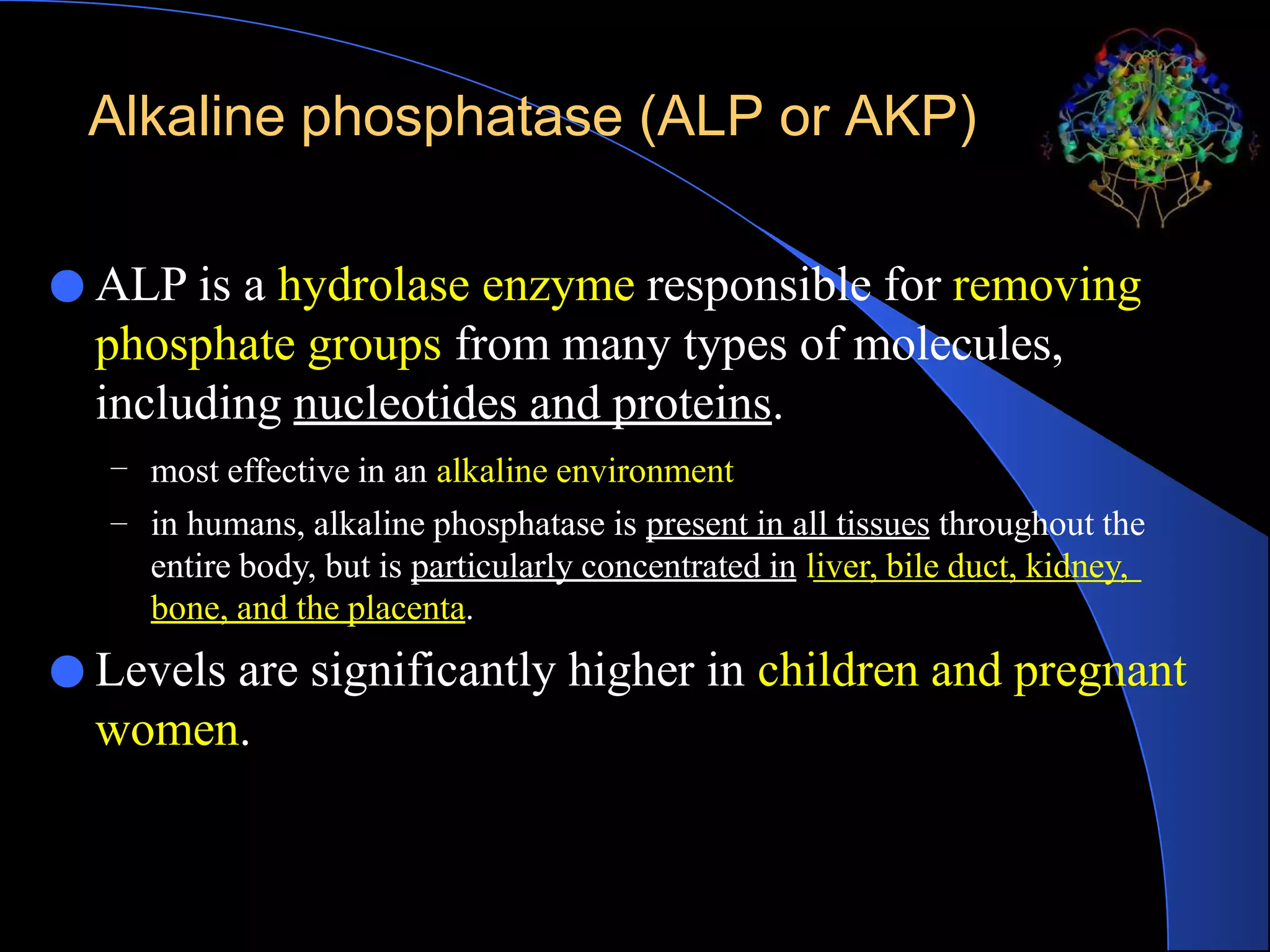Alkaline phosphatase (ALP or AKP)
● ALP is a hydrolase enzyme responsible for removing
phosphate groups from many types of molecules,
including nucleotides and proteins.
–
–
most effective in an alkaline environment
in humans, alkaline phosphatase is present in all tissues throughout the
entire body, but is particularly concentrated in liver, bile duct, kidney,
bone, and the placenta.
● Levels are significantly higher in children and pregnant
women.
 