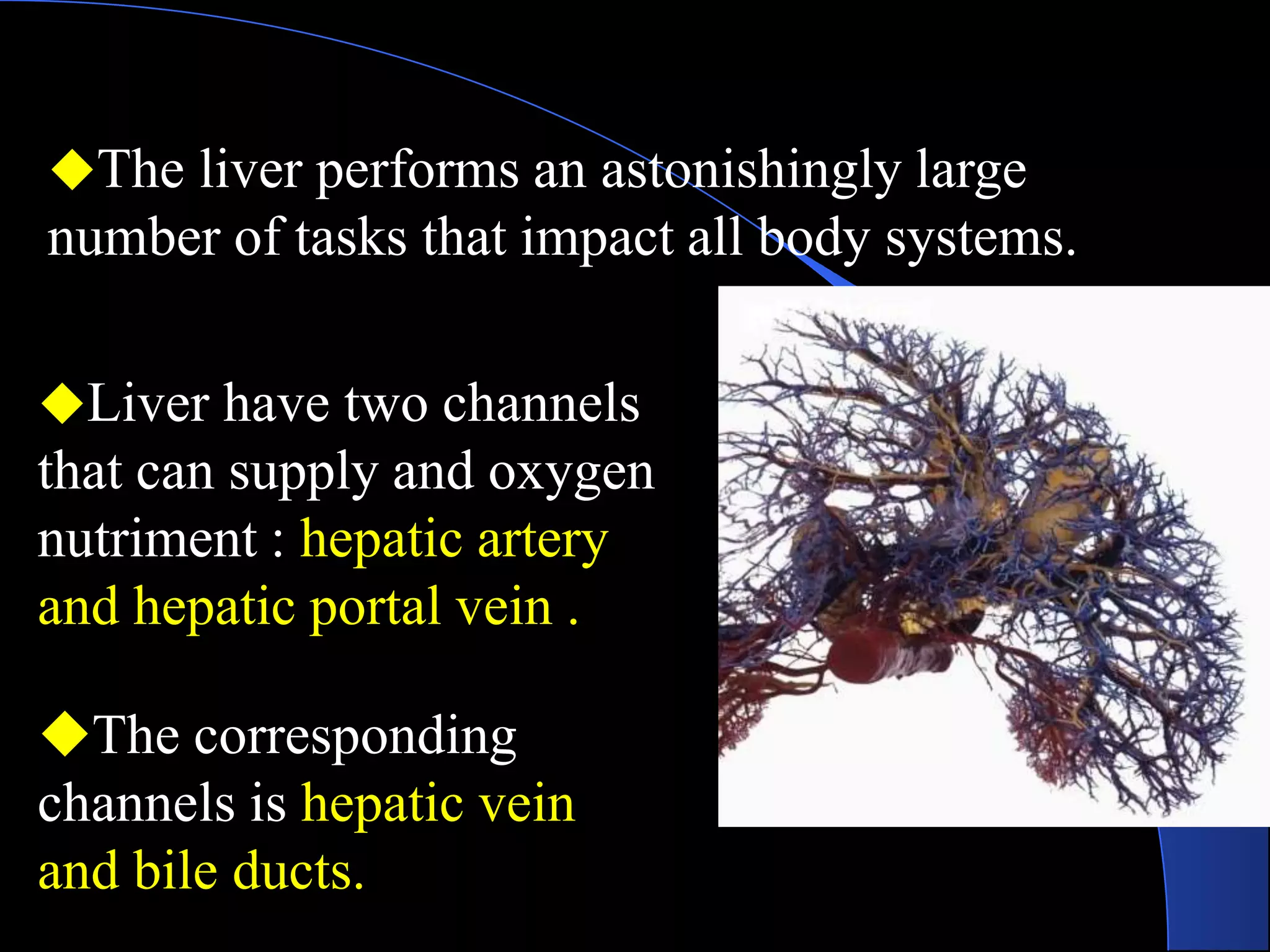 ◆The liver performs an astonishingly large
number of tasks that impact all body systems.
◆Liver have two channels
that can supply and oxygen
nutriment : hepatic artery
and hepatic portal vein .
◆The corresponding
channels is hepatic vein
and bile ducts.
 