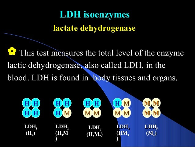 test 5 blood nucleotidase Liver tests function