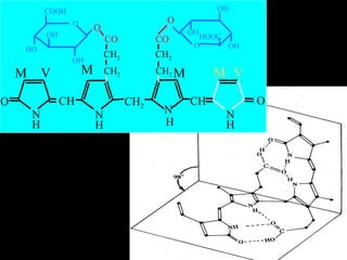 目 录
H H H
CH2
CH2
CO
N
CH
O
N
CH2
N
H
CH
N
O
M M M M
V V
CH2
CH2
CO
O
O
OH
HO
COOH
OH
O
OH
OH
HOOC
OH
O
 