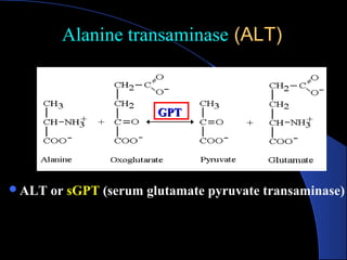 Alanine transaminase
Alanine transaminase (ALT)
(ALT)
ALT or sGPT (serum glutamate pyruvate transaminase)
GPT
GPT
 