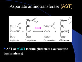 Aspartate aminotransferase
Aspartate aminotransferase (AST)
(AST)
AST or sGOT (serum glutamate oxaloacetate
transaminase)
GOT
 