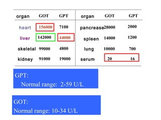 organ GOT GPT
heart 156000 7100
liver 142000 44000
skeletal 99000 4800
kidney 91000 19000
organ GOT GPT
pancrease
spleen
lung
serum
28000 2000
14000 1200
10000 700
20 16
GPT:
Normal range: 2-59 U/L
GOT:
Normal range: 10-34 U/L
 