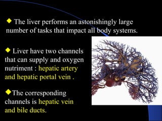  The liver performs an astonishingly large
number of tasks that impact all body systems.
 Liver have two channels
that can supply and oxygen
nutriment : hepatic artery
and hepatic portal vein .
The corresponding
channels is hepatic vein
and bile ducts.
 