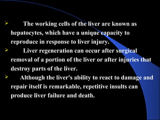  The working cells of the liver are known as
hepatocytes, which have a unique capacity to
reproduce in response to liver injury.
 Liver regeneration can occur after surgical
removal of a portion of the liver or after injuries that
destroy parts of the liver.
 Although the liver's ability to react to damage and
repair itself is remarkable, repetitive insults can
produce liver failure and death.
 