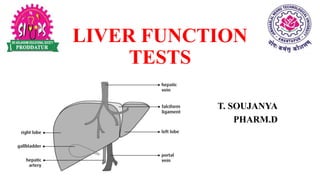 Liver function tests for Pharm.D (Medicinal biochemistry & Clinical ...