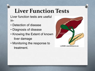 Liver Function Tests
Liver function tests are useful
in-
• Detection of disease
• Diagnosis of disease
• Knowing the Extent of known
liver damage
• Monitoring the response to
treatment.
 