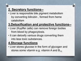 2. Secretory functions--
• Liver is responsible bile pigment metabolism
by converting bilirubin , formed from heme
catabolism
3.Detoxification and protective functions--
• Liver (Kupffer cells) can remove foreign bodies
from blood by phagocytosis.
• It can detoxify various drugs converting them
into less toxic substances.
4.Storage functions
• Liver stores glucose in the form of glycogen and
stores some vitamin e.g. vitamin A and B12.
 