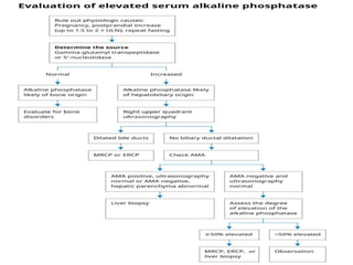 liver function tests interpretation pptx | PPTX