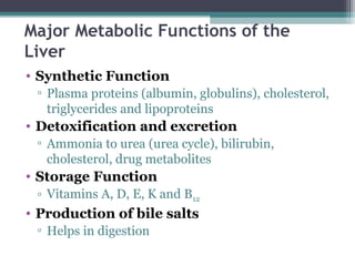 Major Metabolic Functions of the
Liver
• Synthetic Function
▫ Plasma proteins (albumin, globulins), cholesterol,
triglycerides and lipoproteins
• Detoxification and excretion
▫ Ammonia to urea (urea cycle), bilirubin,
cholesterol, drug metabolites
• Storage Function
▫ Vitamins A, D, E, K and B12
• Production of bile salts
▫ Helps in digestion
 