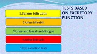 Comprehensive Overview of Biochemical Liver Function Tests and Their ...