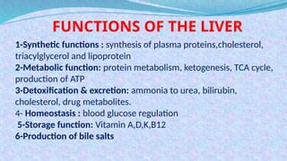 Comprehensive Overview of Biochemical Liver Function Tests and Their ...